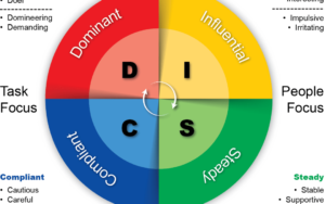 DISC Wheel